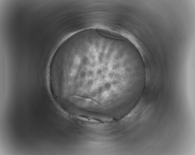 X0000089751048200707051811