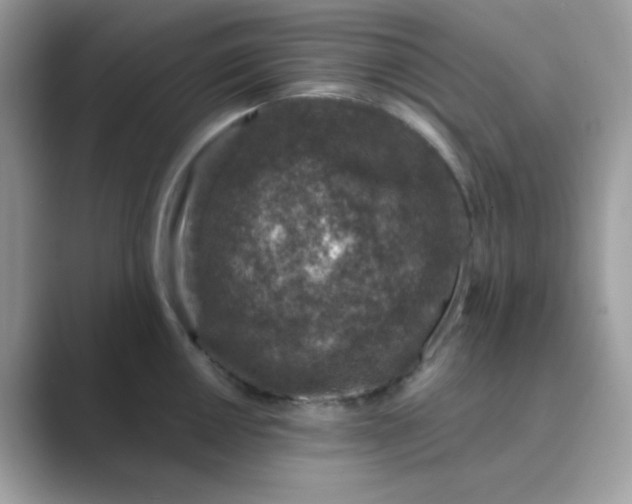 X0000089751050200707051811