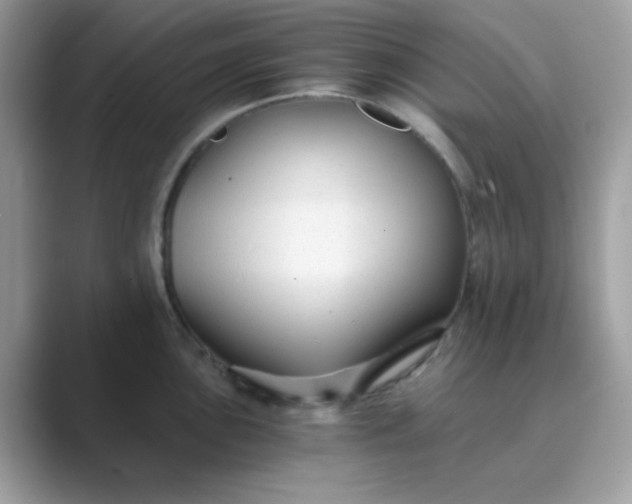 X0000089751051200707051811