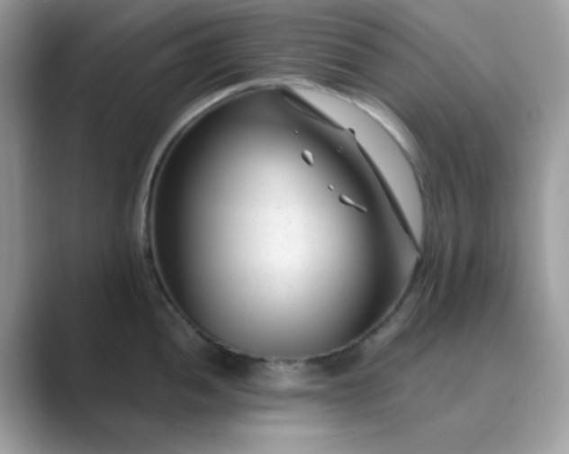 X0000089751052200707051811