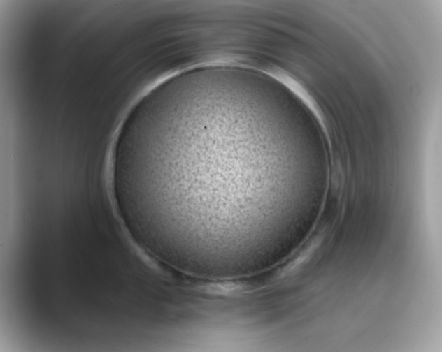 X0000089751053200707051812