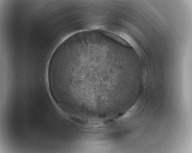 X0000089751055200707051812