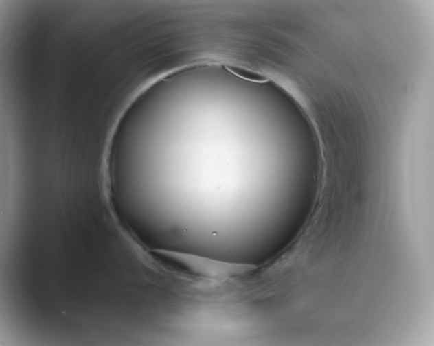 X0000089751056200707051812