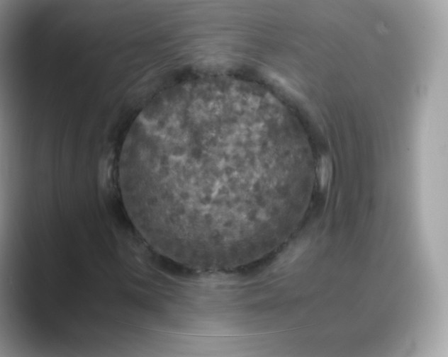 X0000089751059200707051811