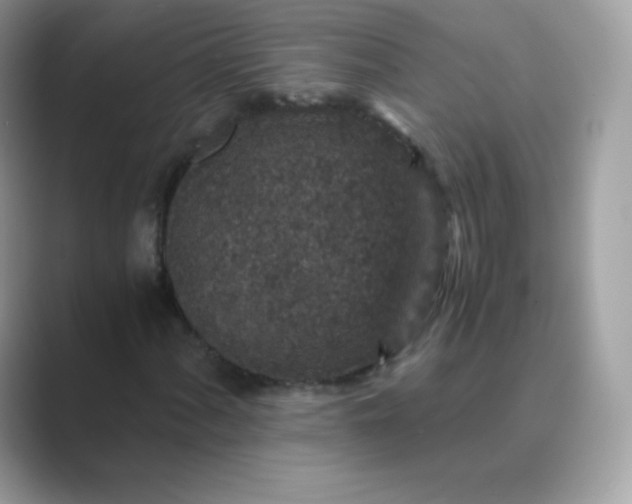 X0000089751060200707051811