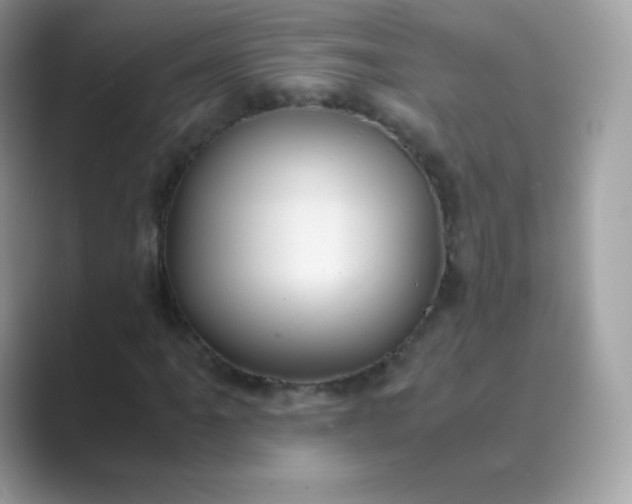 X0000089751061200707051811