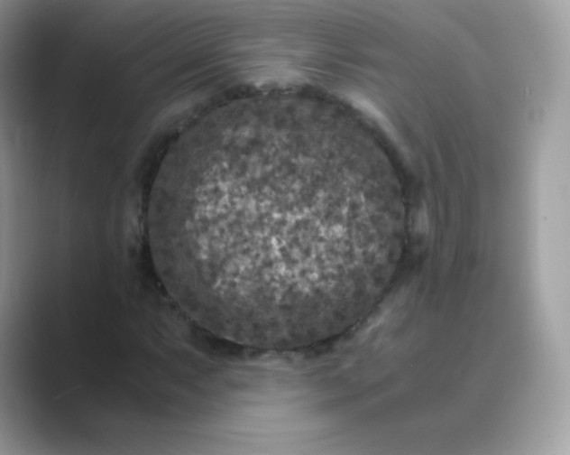 X0000089751063200707051811