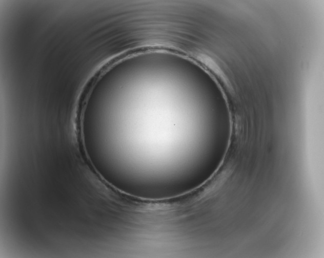 X0000089751068200707051811