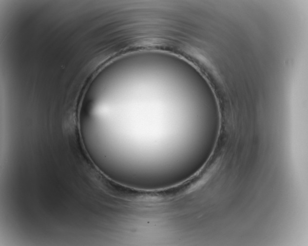 X0000089751073200707051811