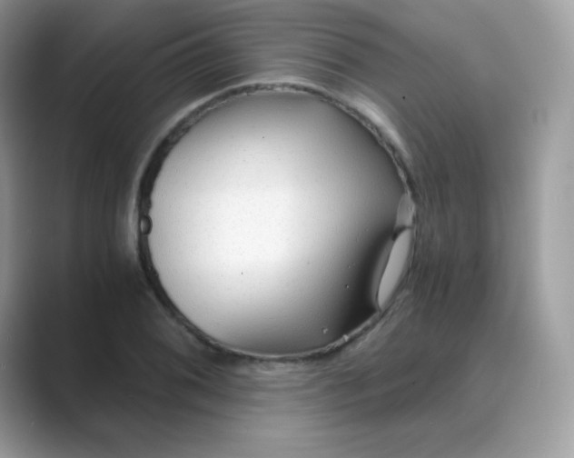 X0000089751076200707051811