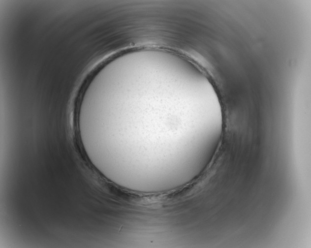 X0000089751078200707051811