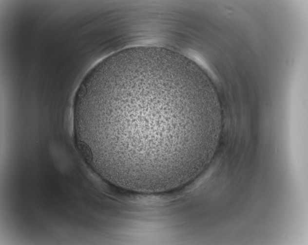 X0000089751079200707051811