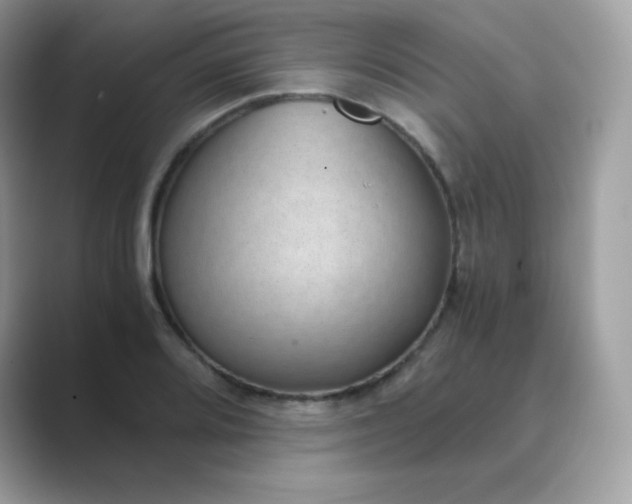 X0000089751080200707051811