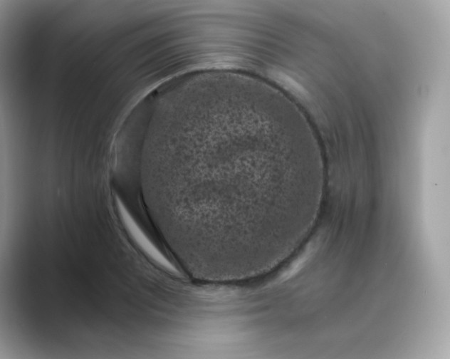 X0000089751081200707051811