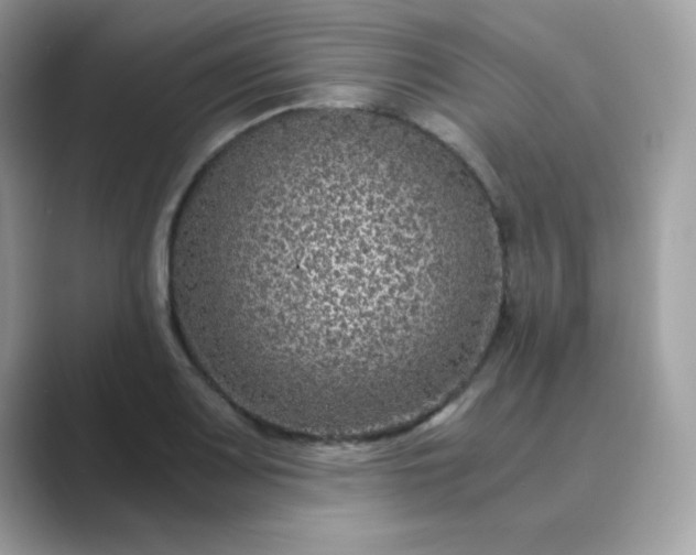 X0000089751083200707051811