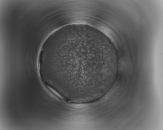 X0000089751084200707051811