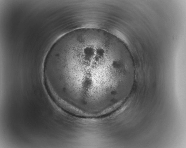 X0000089751087200707051811