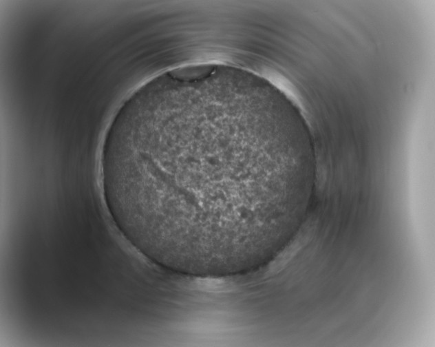 X0000089751088200707051811