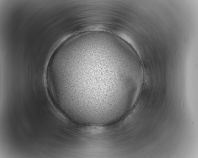 X0000089751090200707051811