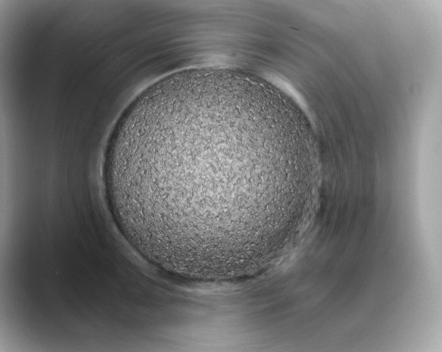 X0000089751091200707051811