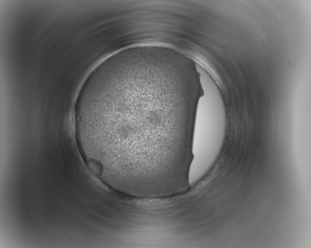 X0000089751092200707051811