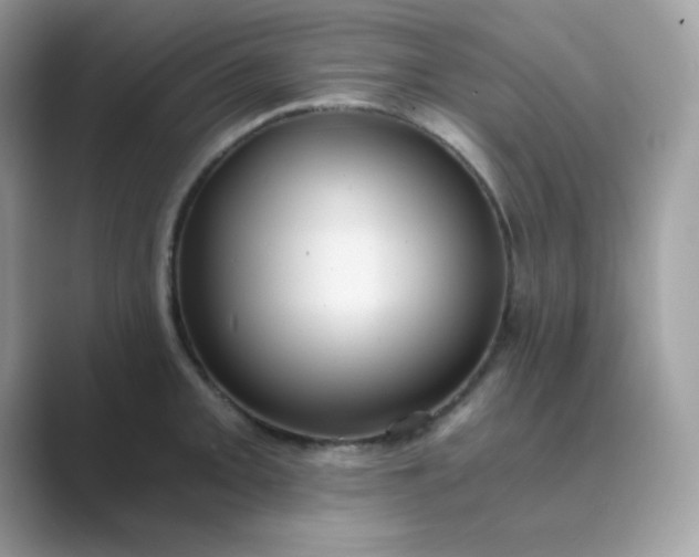 X0000089751093200707051811