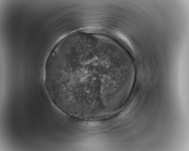 X0000089751095200707051811