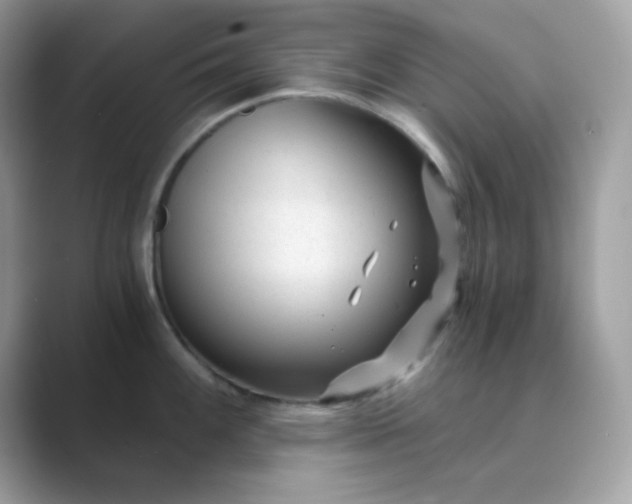 X0000089751100200707051810