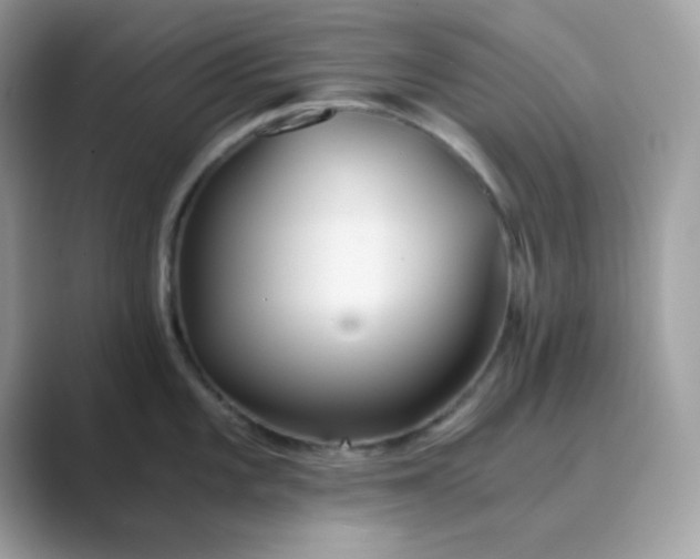 X0000089751101200707051810