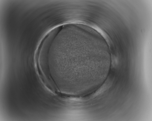 X0000089751102200707051810