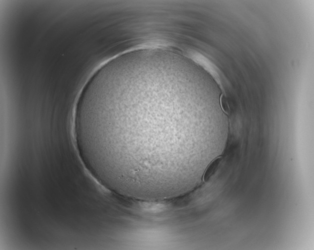 X0000089751103200707051810