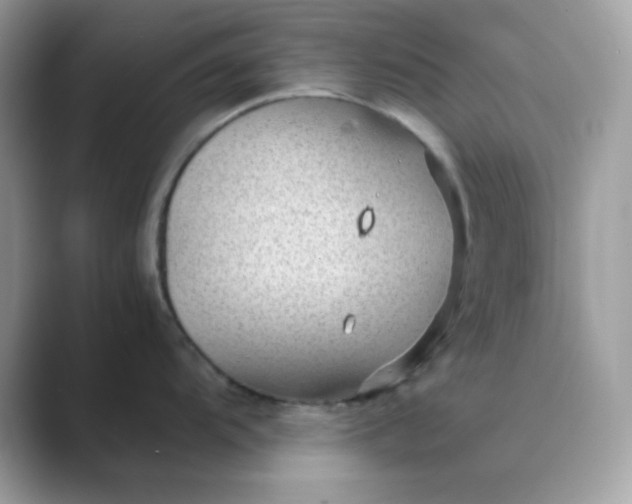 X0000089751104200707051810