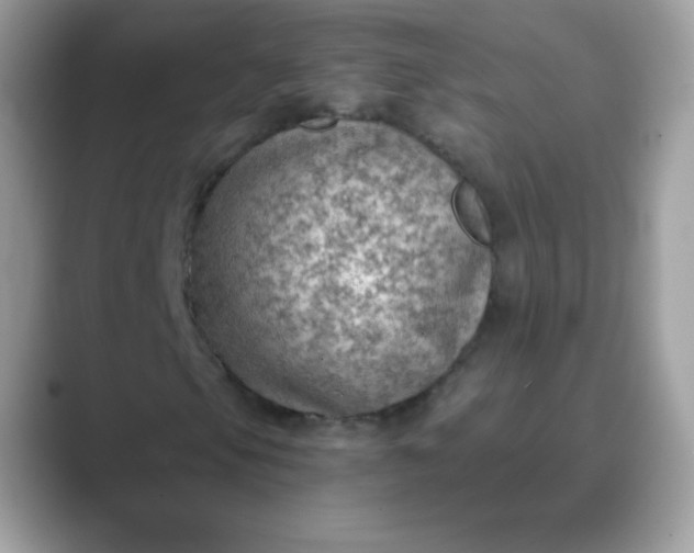 X0000089751105200707051810