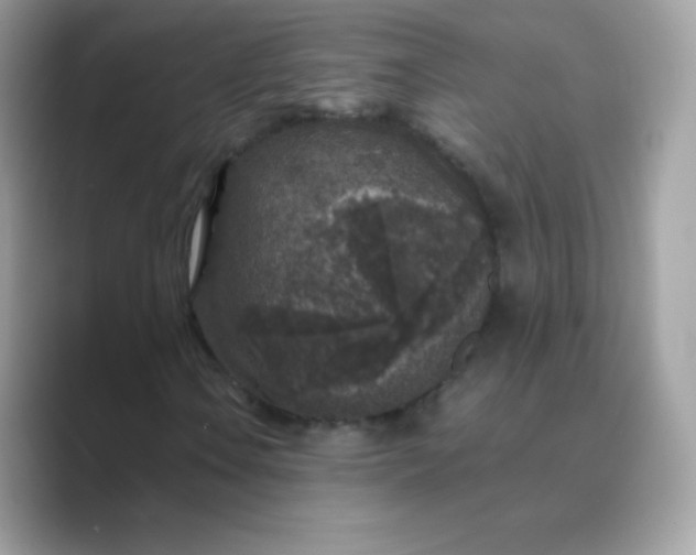 X0000089751106200707051810