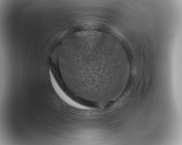 X0000089751108200707051810