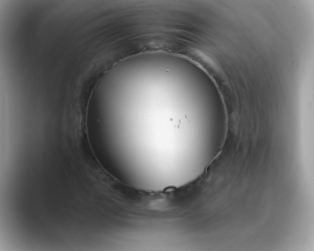 X0000089751111200707051810