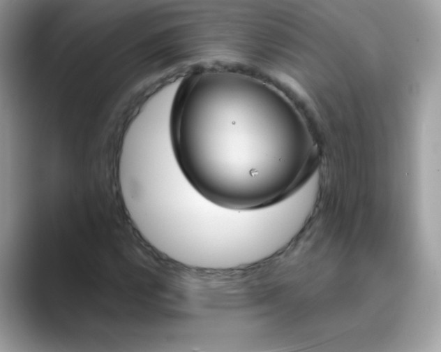 X0000089751112200707051810