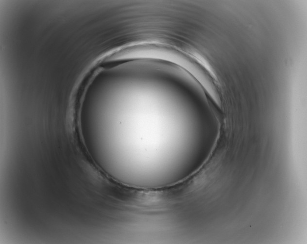 X0000089751116200707051810