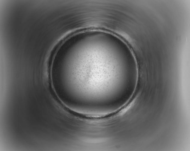 X0000089751118200707051810