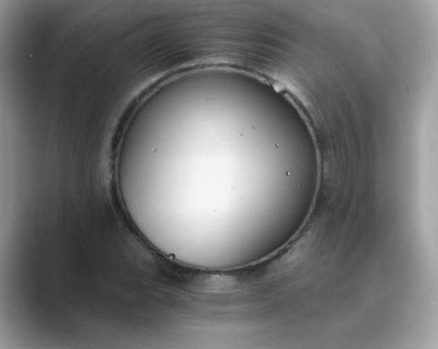 X0000089751119200707051810