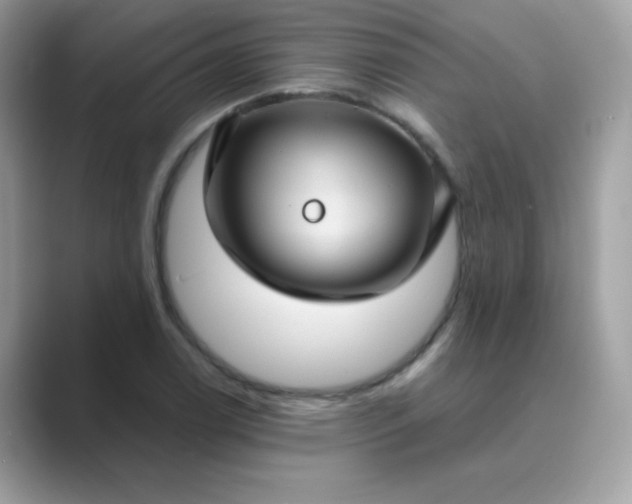 X0000089751122200707051810