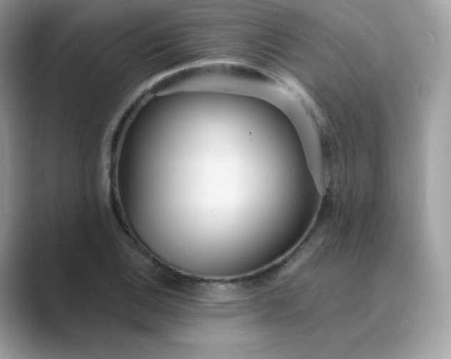 X0000089751124200707051810