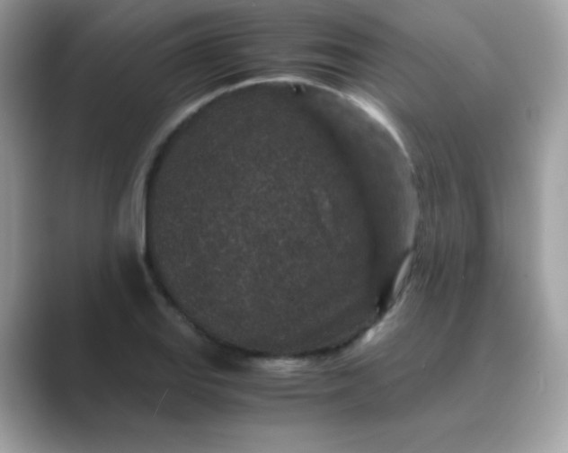 X0000089751127200707051810