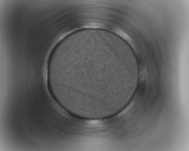 X0000089751130200707051810