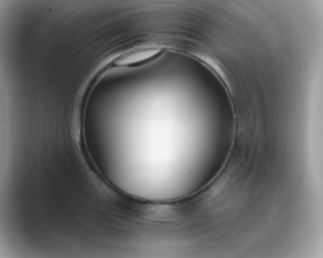 X0000089751131200707051810