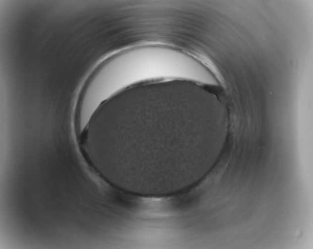 X0000089751132200707051810