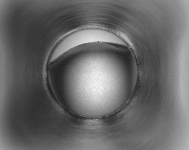 X0000089751133200707051810