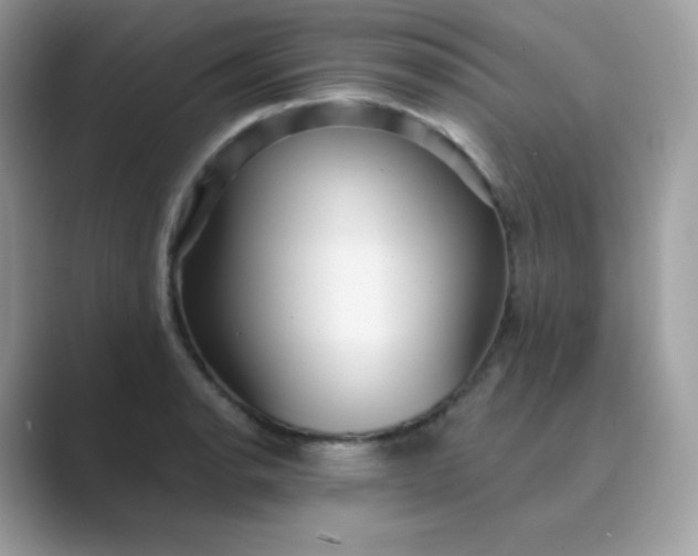 X0000089751134200707051810