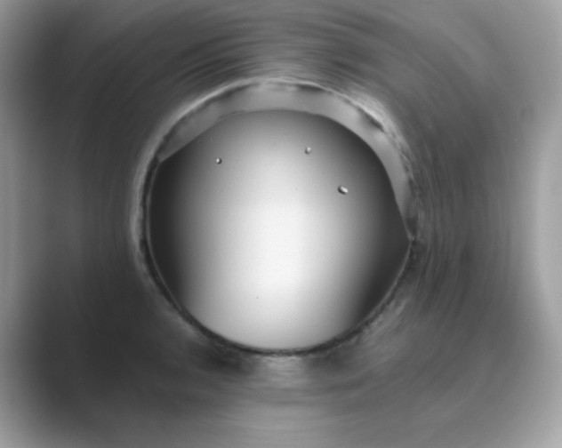 X0000089751136200707051810