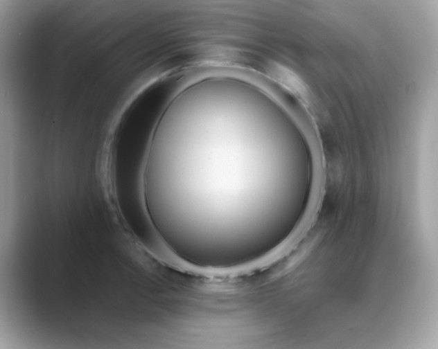 X0000089751138200707051810